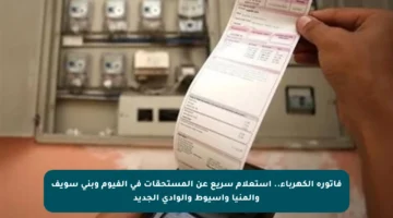 فاتورة الكهرباء.. استعلام سريع عن المستحقات في الفيوم وبني سويف والمنيا وأسيوط والوادي الجديد